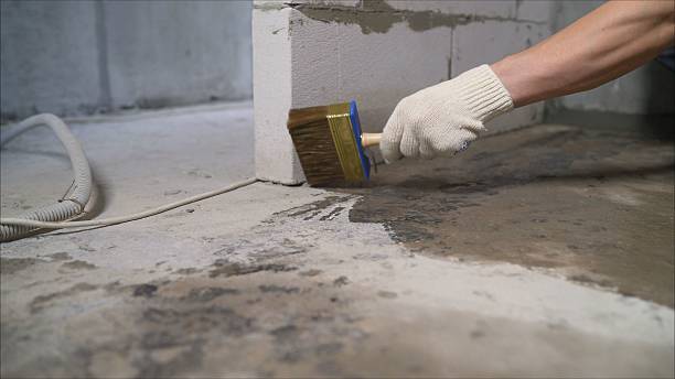 24/7 Emergency Wet Basement Repair experts in Paoli, IN
